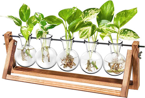 Glass Planter Bulb Vase with Retro Solid Wooden Stand and Metal Swivel Holder for Hydroponics Plants